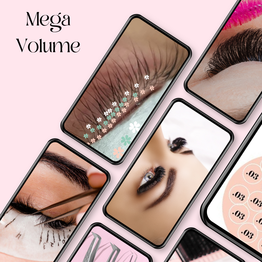 Mega Volume Course - Online