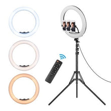 MULTIMEDIA EXTREME 21 inch ring light